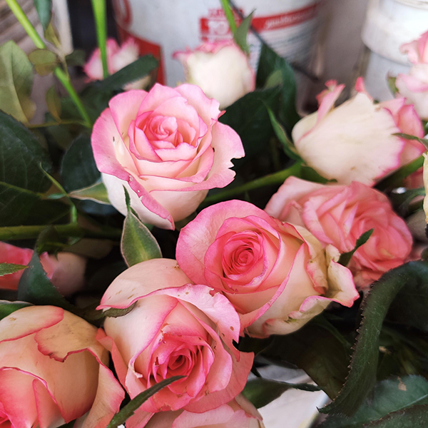 Hoa hồng (5 bông)